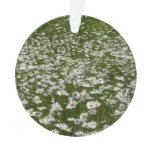 Field of Daisies Alaskan Wildflowers Ornament