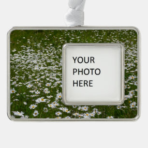 Field of Daisies Alaskan Wildflowers Ornament