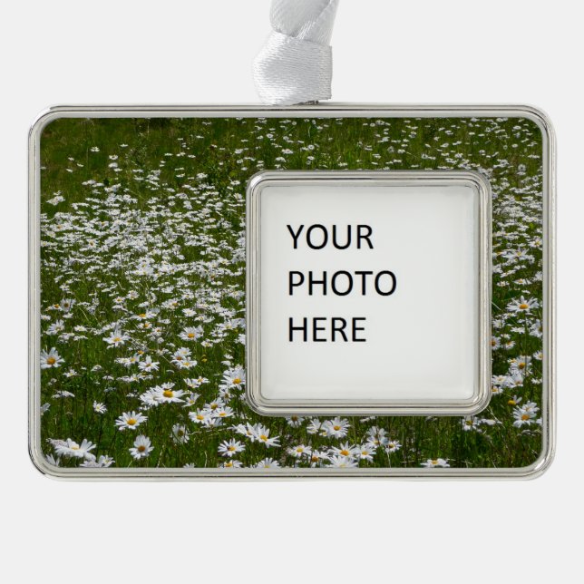 Field of Daisies Alaskan Wildflowers Ornament (Front)
