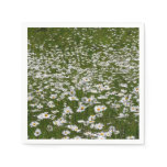 Field of Daisies Alaskan Wildflowers Paper Napkins