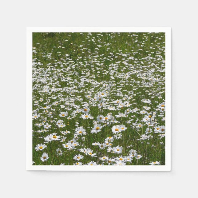 Field of Daisies Alaskan Wildflowers Paper Napkins (Front)