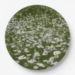 Field of Daisies Alaskan Wildflowers Paper Plates