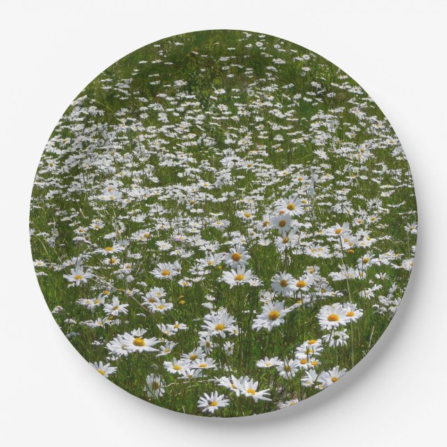 Field of Daisies Alaskan Wildflowers Paper Plates (Front)