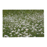 Field of Daisies Alaskan Wildflowers Placemat