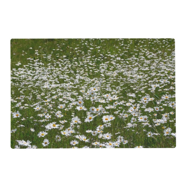 Field of Daisies Alaskan Wildflowers Placemat (Front)