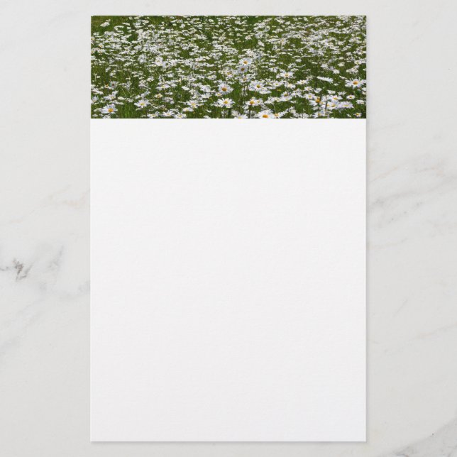 Field of Daisies Alaskan Wildflowers Stationery (Front)