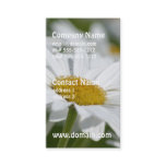 Field of Daisies Business Card