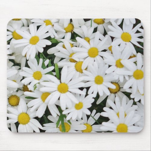 Field of Daisies Mouse Pad