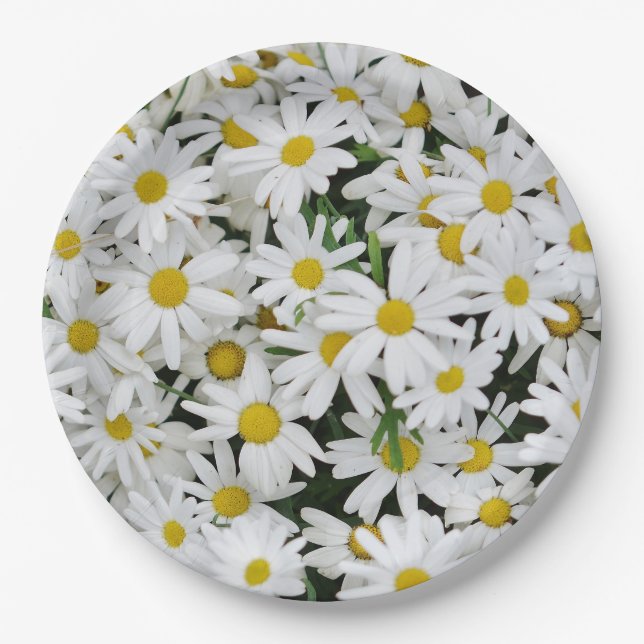 Field of Daisies Paper Plates (Front)