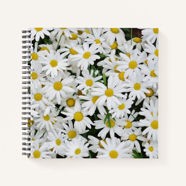 Field of Daisies Photo Notebook (Front)