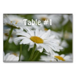 Field of Daisies Table Number