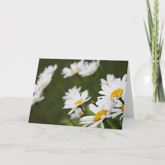 Field of Daisies - Thinking of You Card (Front)