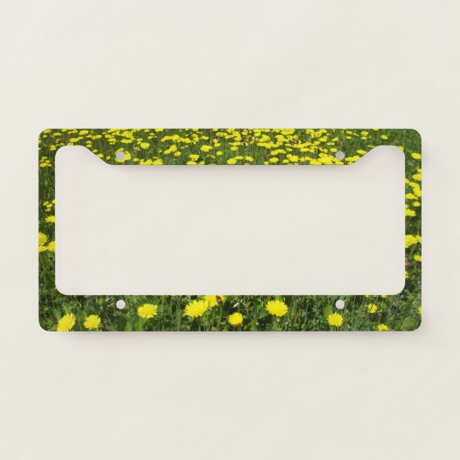 Field of Dandelions License Plate Frame (Front)
