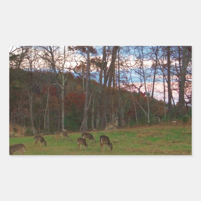 Field of Deer & a Pink SunSet Rectangular Sticker (Front)
