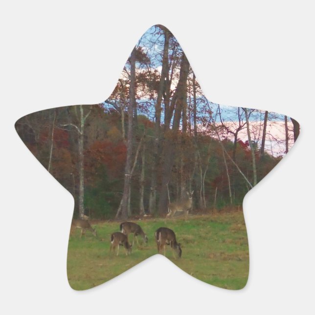 Field of Deer & a Pink SunSet Star Sticker (Front)