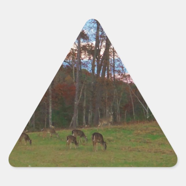 Field of Deer & a Pink SunSet Triangle Sticker (Front)