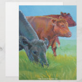 Field of dreams (Front/Back)