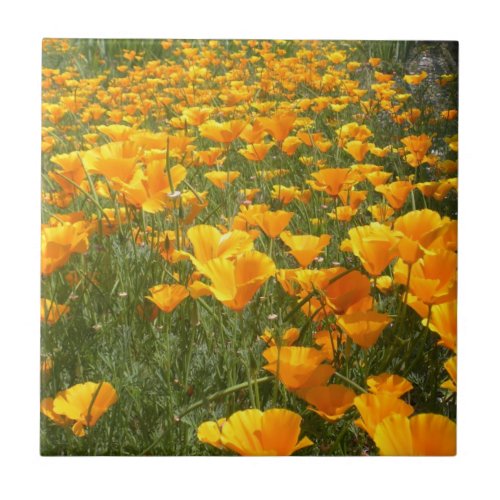 Field of Dreams Ceramic Tile