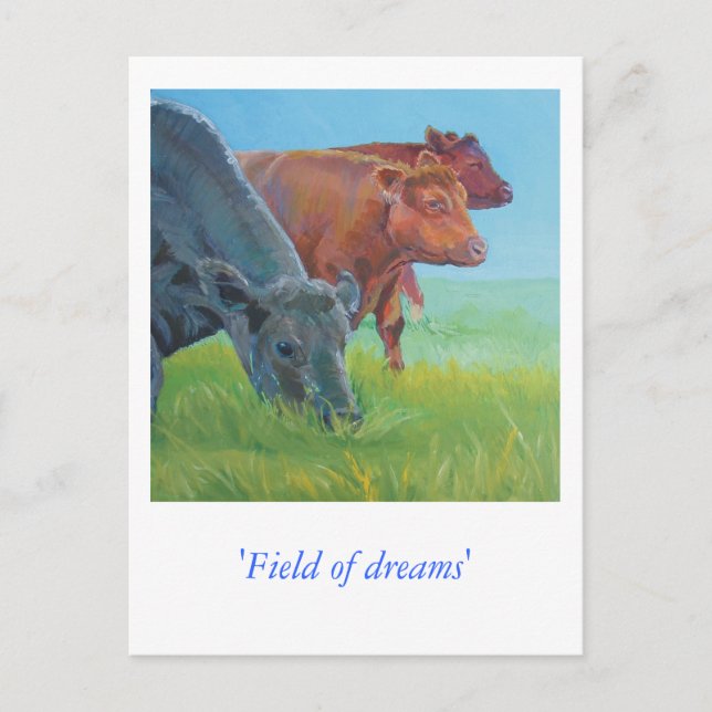 Field of dreams postcard (Front)