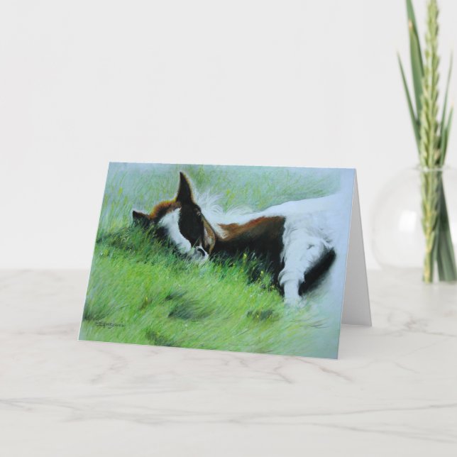 "Field of Dreams" Sleeping Foal Greeting Card (Front)