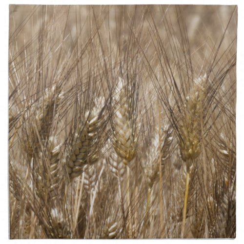 Field of ears of wheat napkin