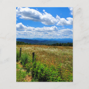 Field of Flowers and Mountains Postcard