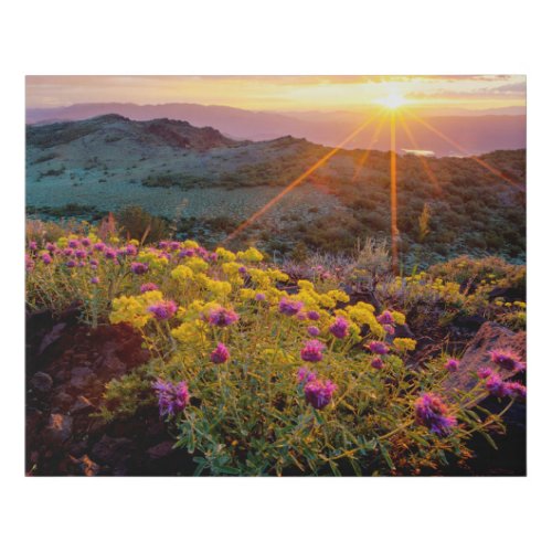 Field of Flowers at Sunrise_South of Monitor Pass Faux Canvas Print