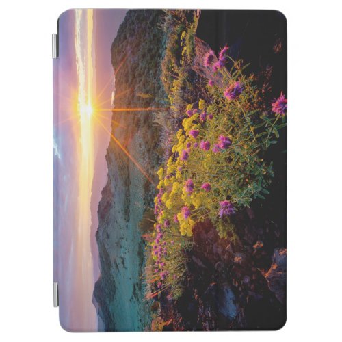 Field of Flowers at Sunrise_South of Monitor Pass iPad Air Cover
