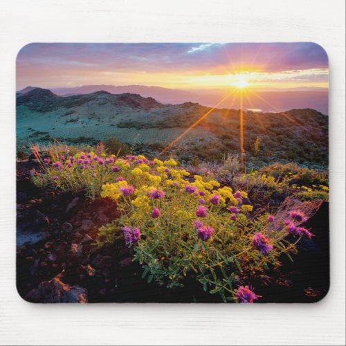 Field of Flowers at Sunrise_South of Monitor Pass Mouse Pad