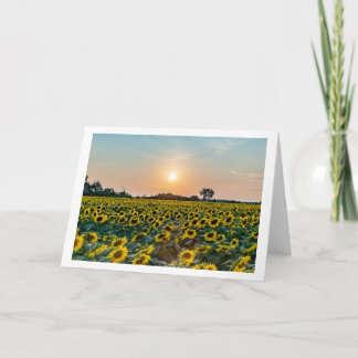"Field of Flowers" blank folded greeting card