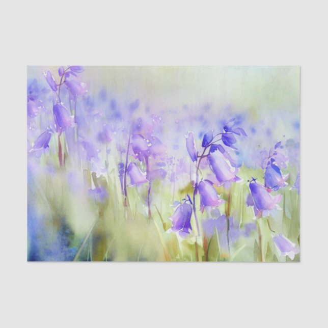 Field of Flowers-Bluebell (C) Watercolor  Tissue Paper (Front)