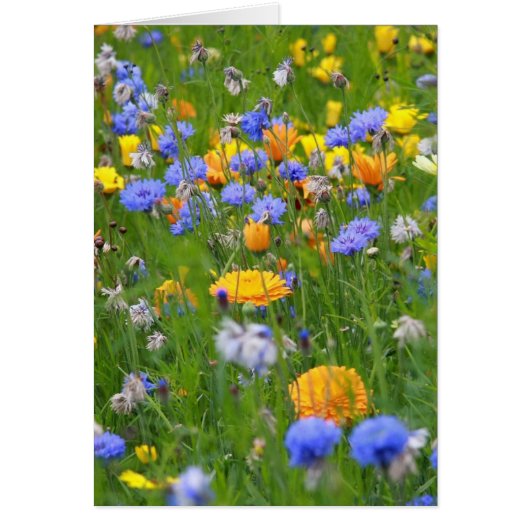 Field Of Flowers Cards (Front)