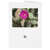 Field of Flowers Cards (Back)