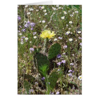 Field of Flowers Cards