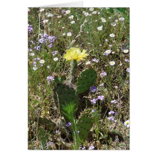 Field of Flowers Cards (Front)