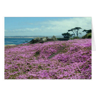 "Field of Flowers" Cards