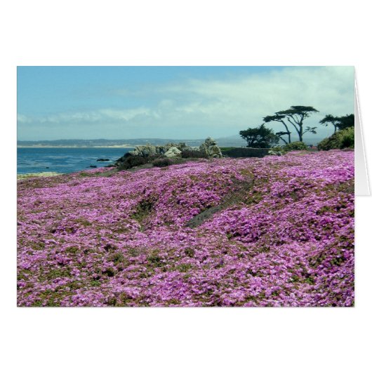 "Field of Flowers" Cards (Front Horizontal)