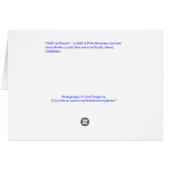 "Field of Flowers" Cards (Back Horizontal)