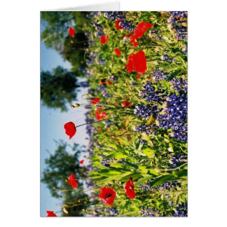 Field of Flowers Cards