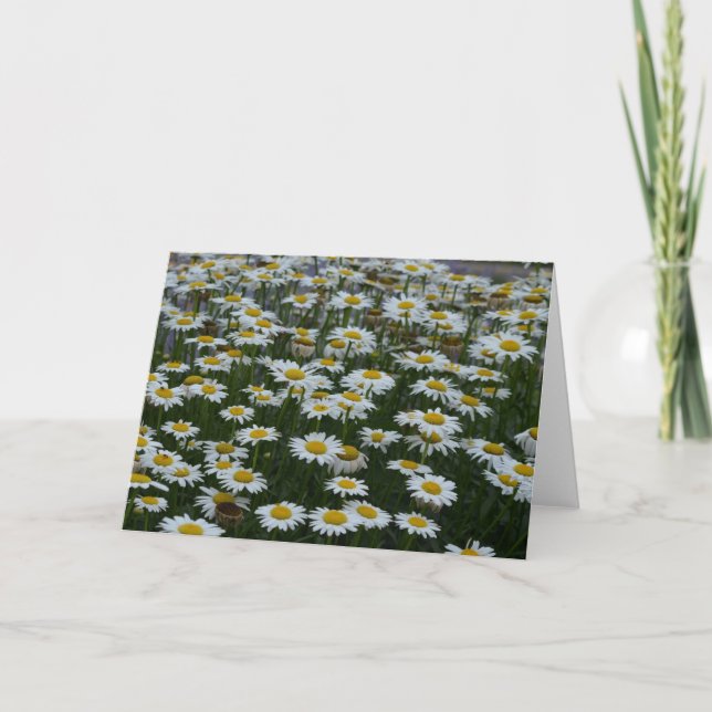 Field of flowers greeting card (Front)