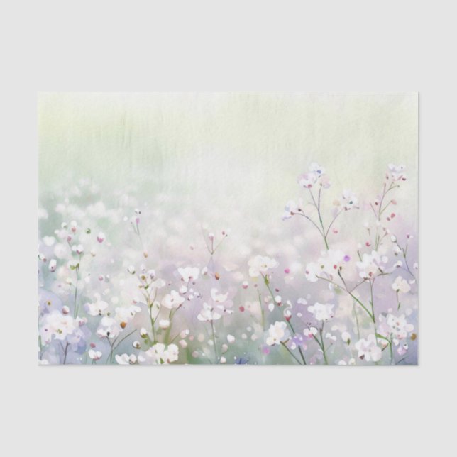 Field of Flowers-Gypsophila (D) Watercolor  Tissue Paper (Front)