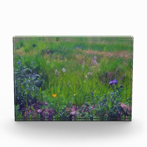 Field of Flowers _ Impressionist Photo Block