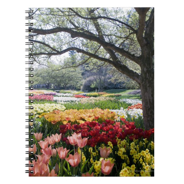 Field of flowers on a Spring morning Notebook (Front)