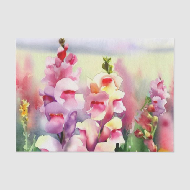 Field of Flowers-Snapdragon (C) Watercolor  Tissue Paper (Front)