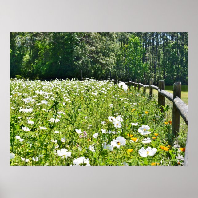 Field of Flowers with Rail Fence Poster (Front)