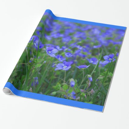 Field of Forget Me Nots Wrapping Paper