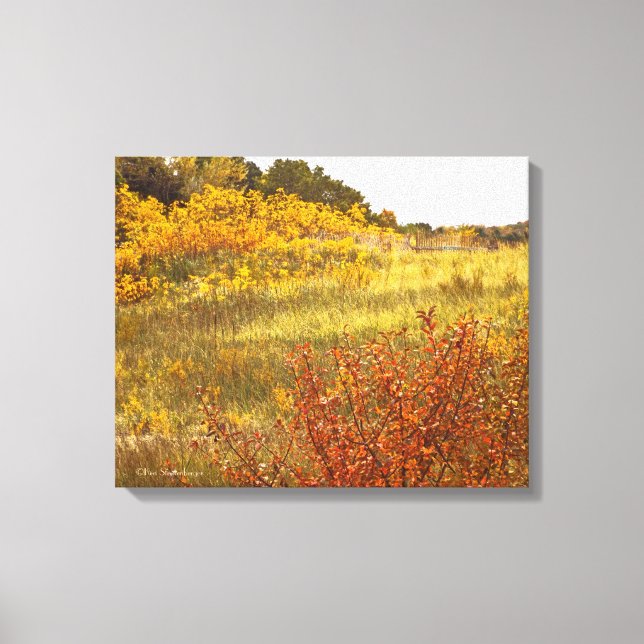 "FIELD OF GOLD"  WRAPPED CANVAS GLOSS PRINT (Front)