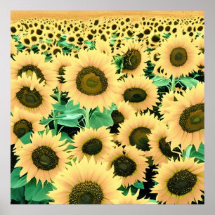 Field of Golden Yellow Sunflowers Poster