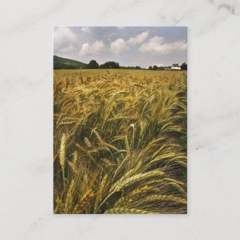 Field Of Grain Atc Business Card by Bebops at Zazzle