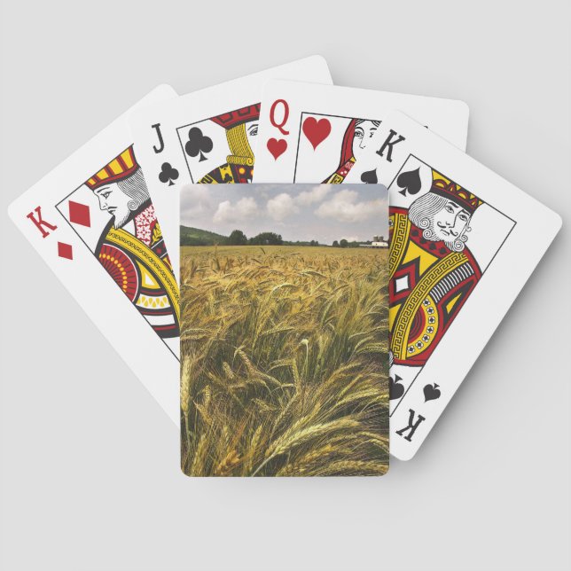 Field of Grain Poker Cards (Back)